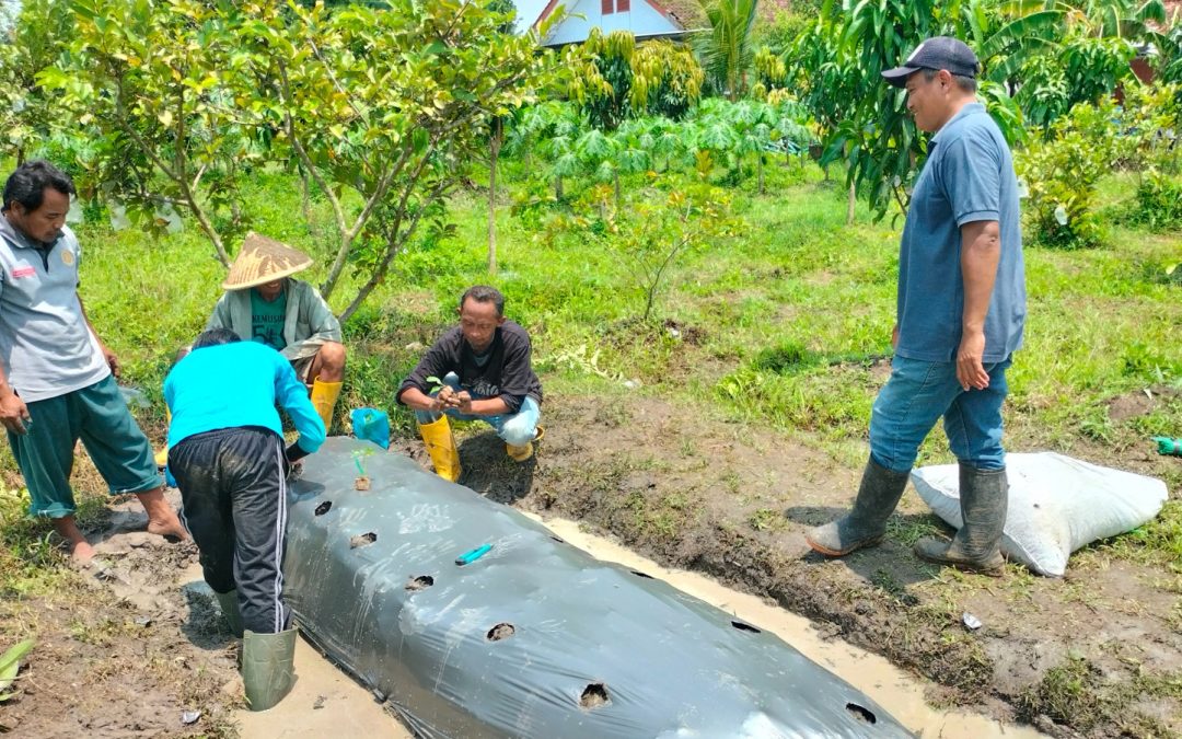 Pelatihan Calon Transmigran Tujuan UPT Puuhialu Konawe Utara di Kebun Buah dan Eduwisata Bendosari